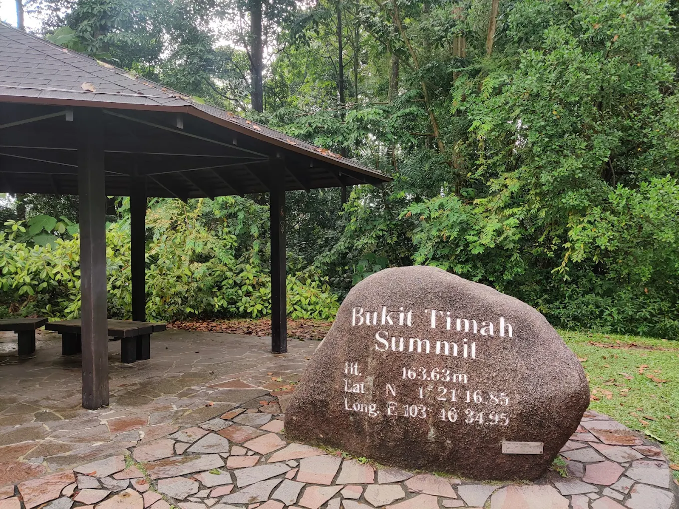 Explore Central Western Life: Bukit Timah Hill Hike