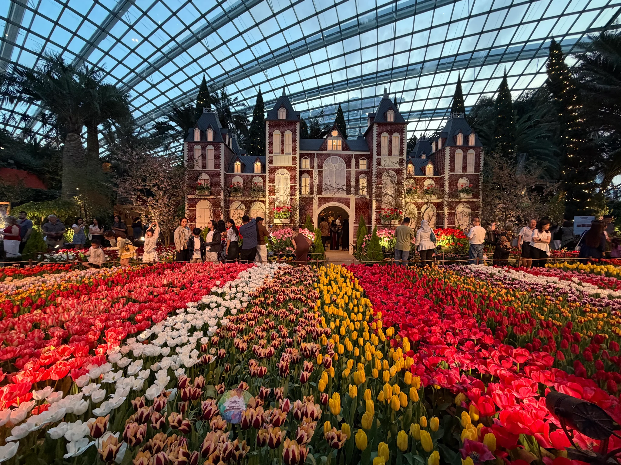 Tulipmania at Gardens by the Bay