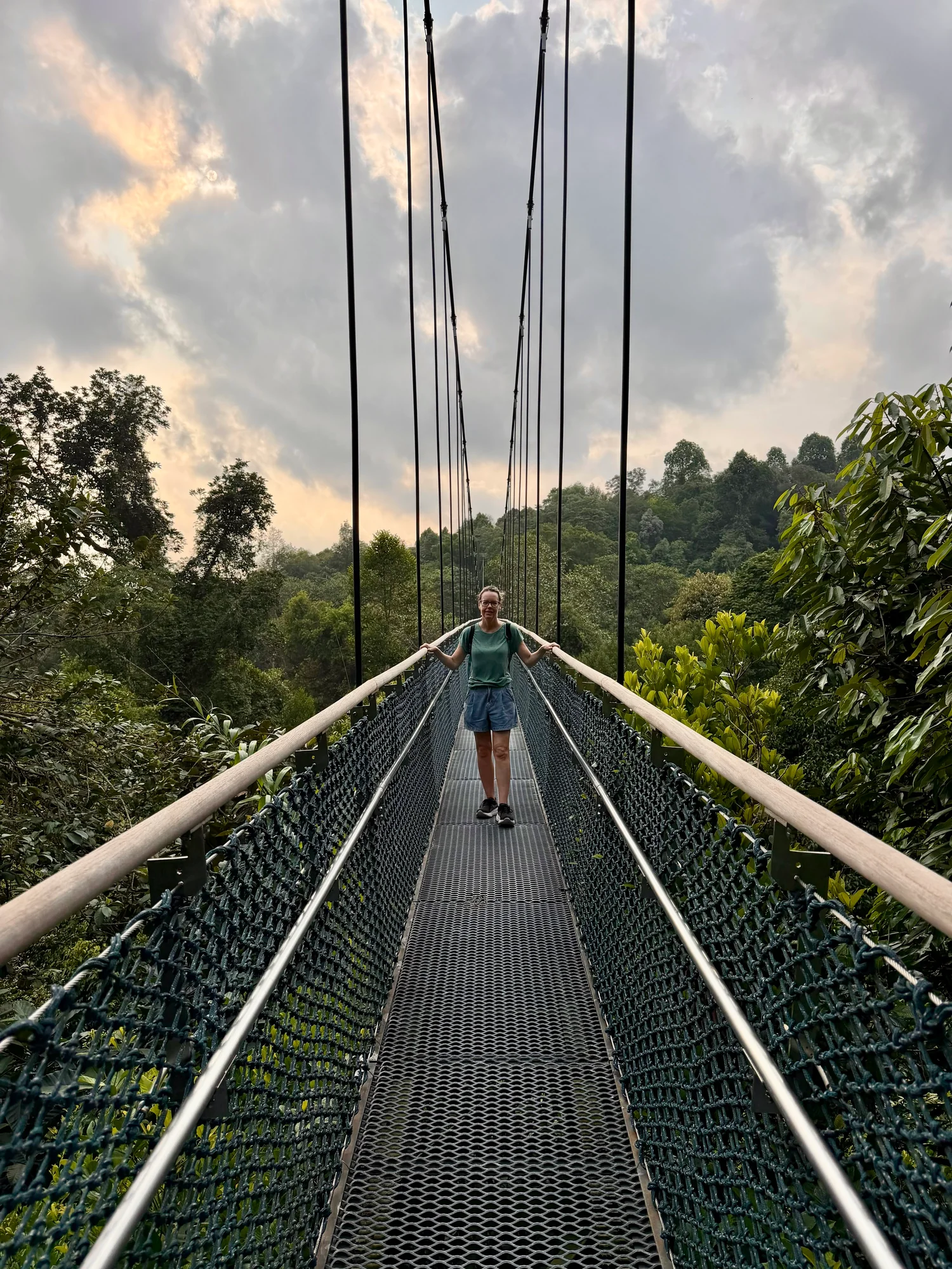 Walking tour guest on the MacRitchie Treetop Walk suspension bridge at sunset