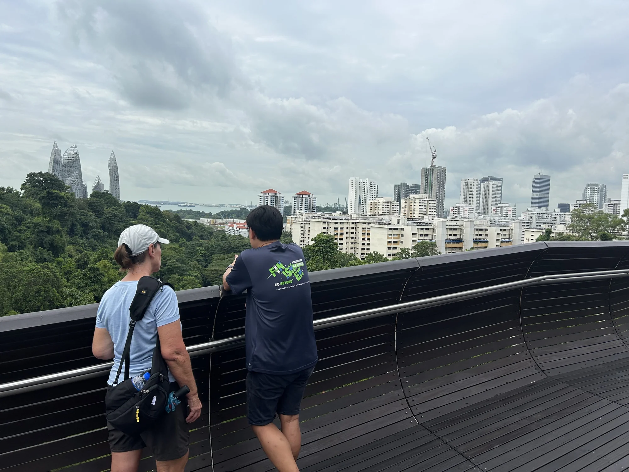 Tour guests taking in Singapore's skyline from a Mount Faber lookout